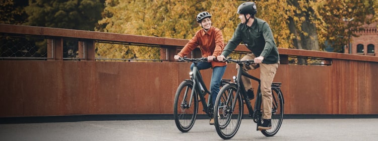 Electric Bikes