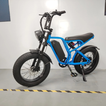 Retro E Bike